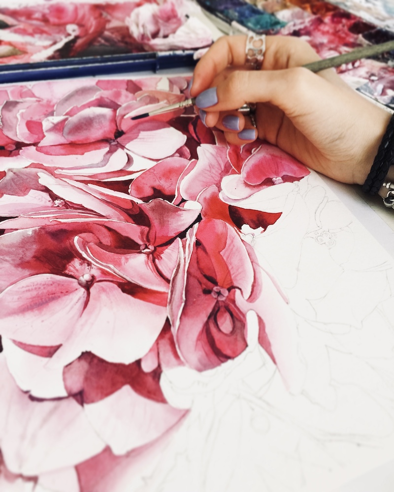 Draw hydrangea flower in watercolor