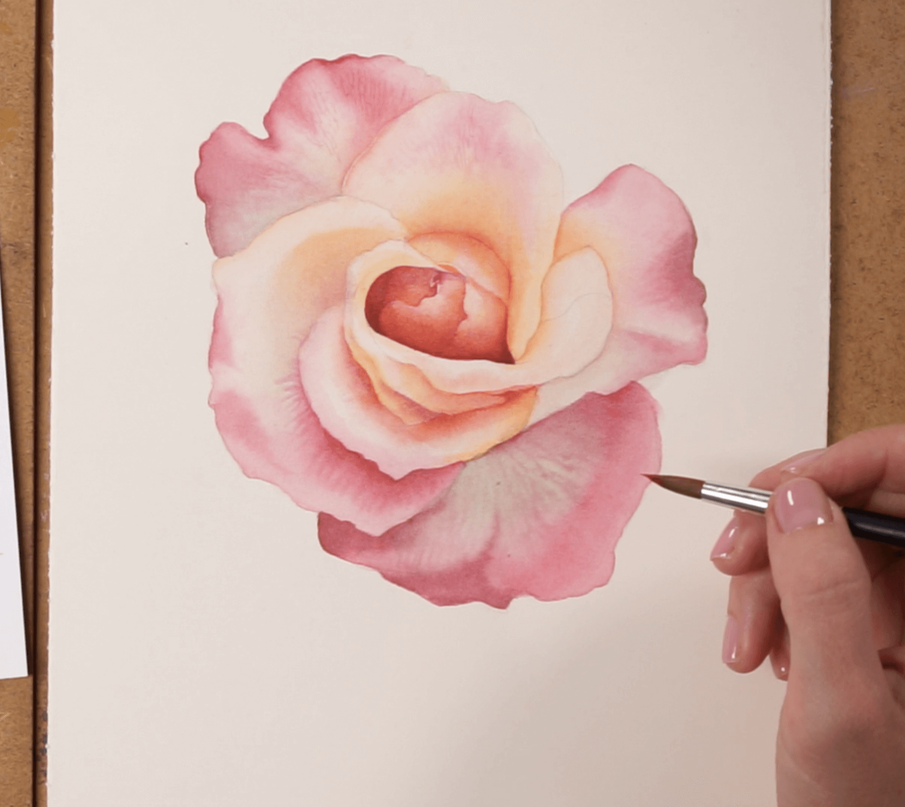 Всё о розах в ботанической живописи