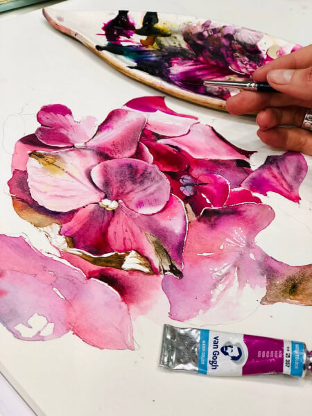 Draw hydrangea flower in watercolor
