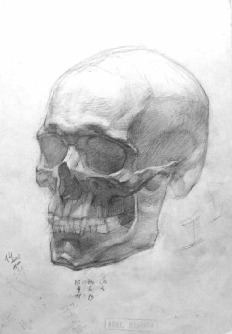 1. Рисунок черепа (три поворота) с анатомическим разбором