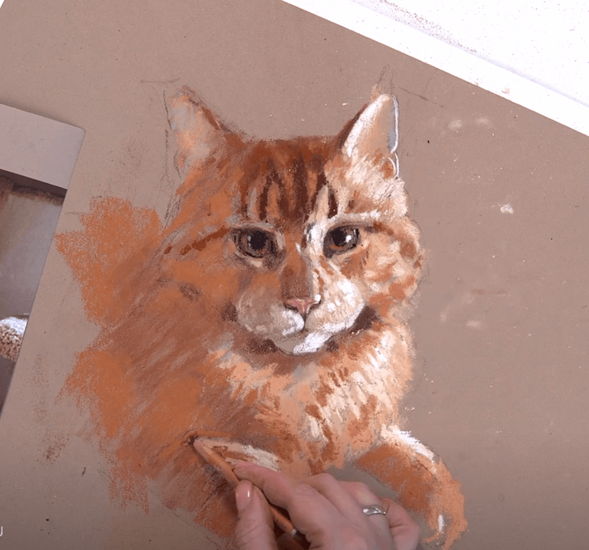 Рыжий кот пастелью. Вторая часть