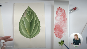 Техники ботанической живописи