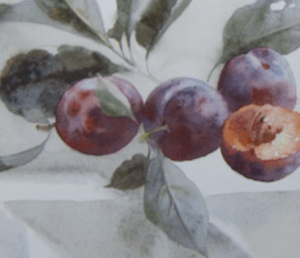 Plums on paper. Part 3