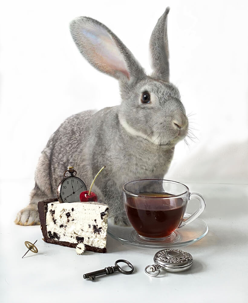Mad tea party with rabbit, part 1